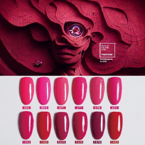 Pretty - Вива Магента