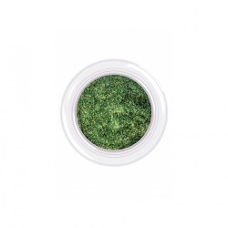 Пигмент Duo Chrome P09 1 г.