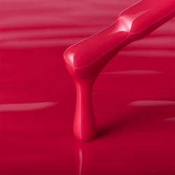 Гел лак Kodi Bright №10 BR-foto3