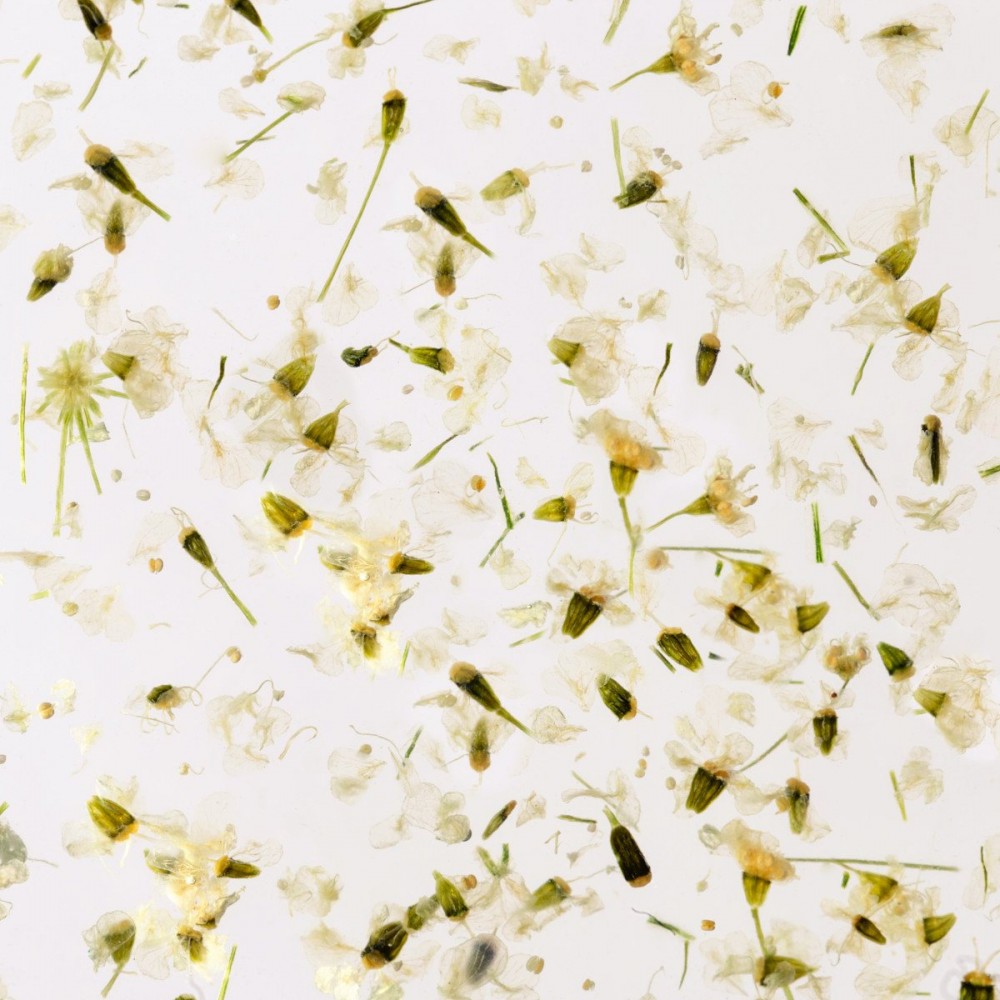 Гел със сухи цветя Flower gel №01