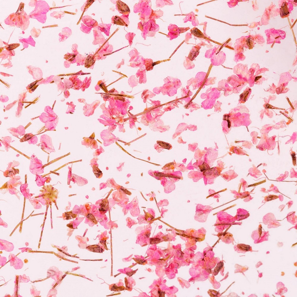 Гел със сухи цветя Flower gel №03