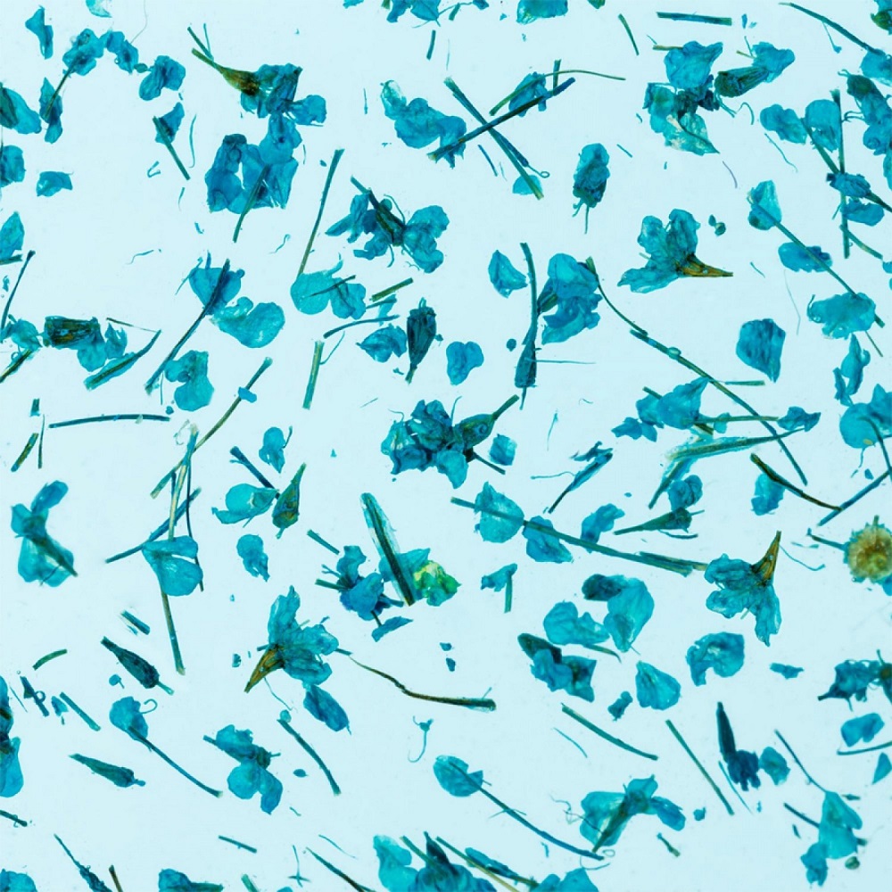 Гел със сухи цветя Flower gel №04 