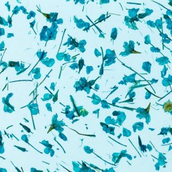 Гел със сухи цветя Flower gel №04 -foto3