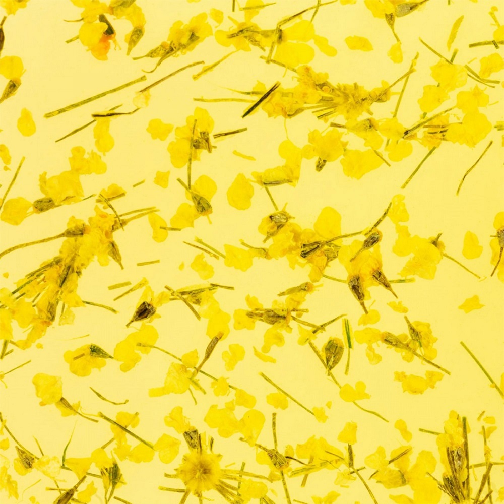 Гел със сухи цветя Flower gel №05