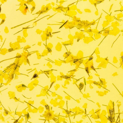 Гел със сухи цветя Flower gel №05