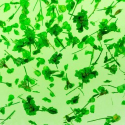 Гел със сухи цветя Flower gel №06-foto3