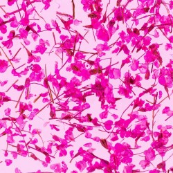 Гел със сухи цветя Flower gel №07-foto3