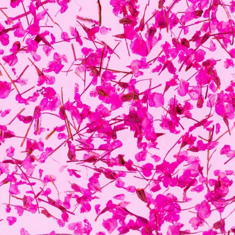 Гел със сухи цветя Flower gel №07