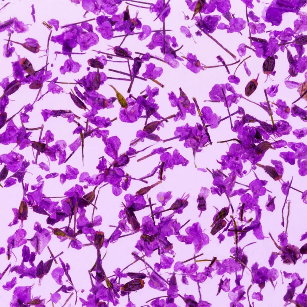 Гел със сухи цветя Flower gel №08