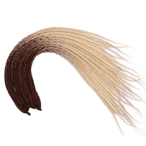 Туистери сенегалски канекалони BY79