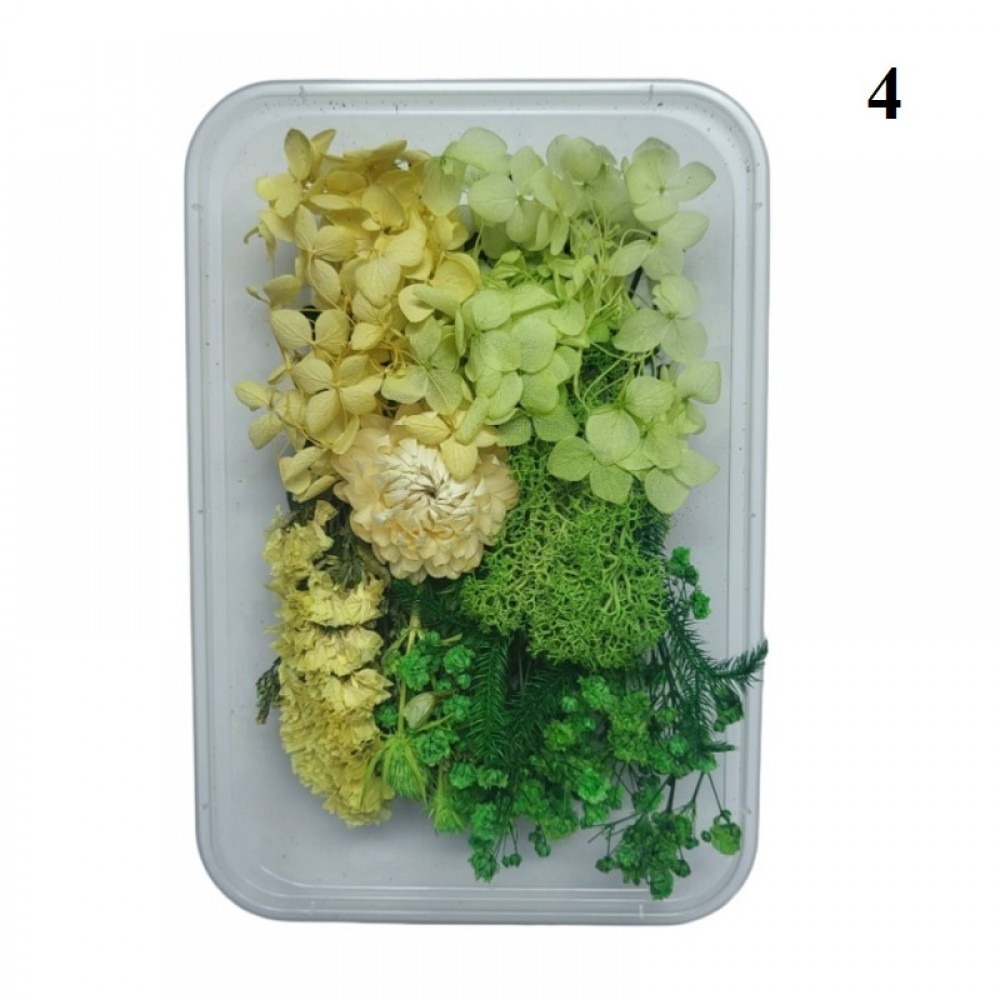 Декорация сухи цветя Кутия