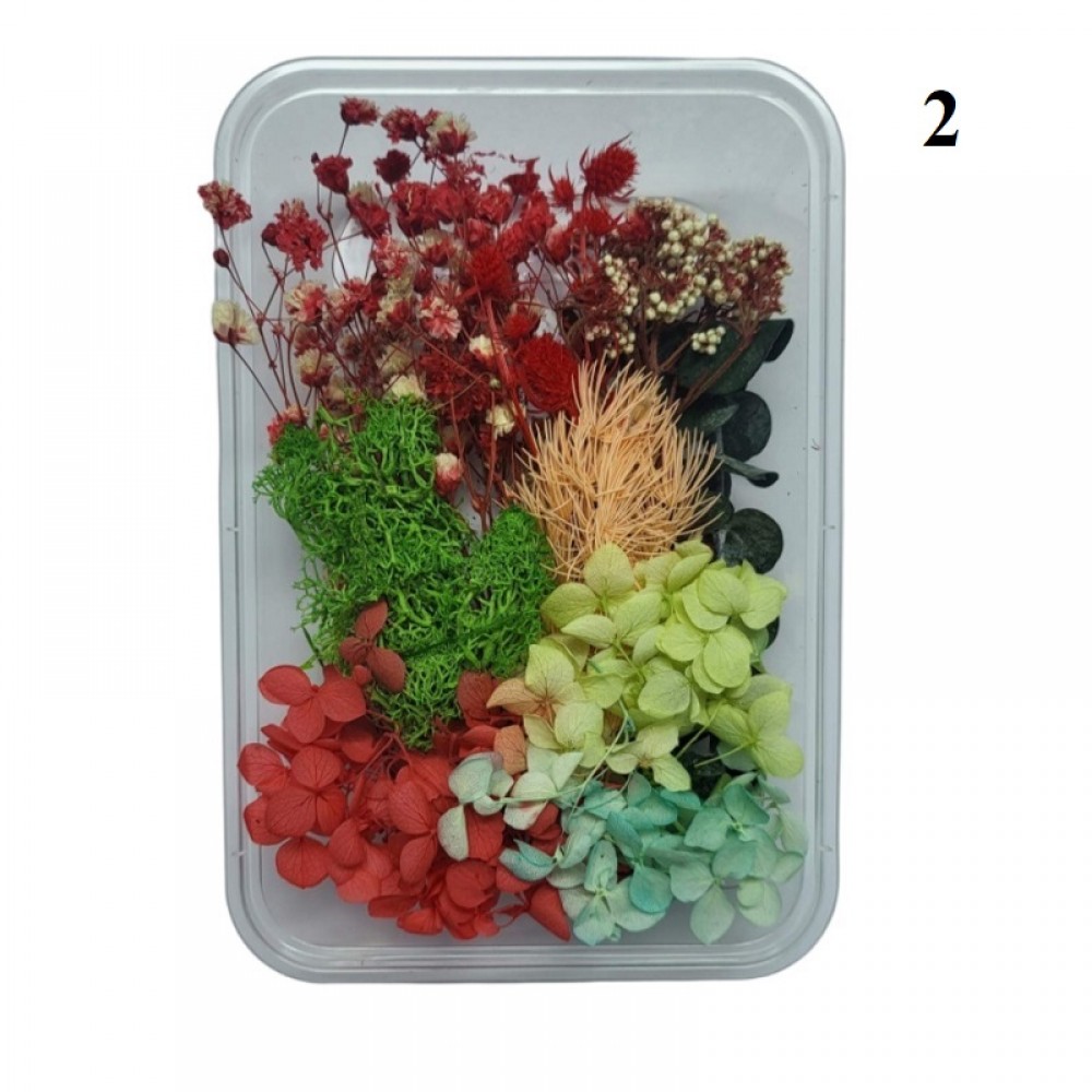 Декорация сухи цветя Кутия