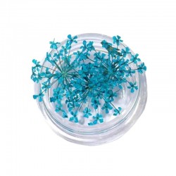 Естествени Сухи Цветя различни цветове-foto4