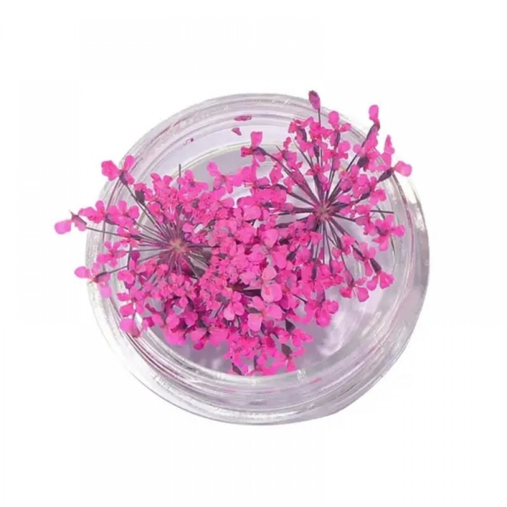 Естествени Сухи Цветя различни цветове