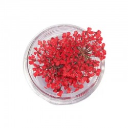 Естествени Сухи Цветя различни цветове-foto8