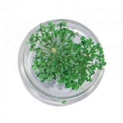 Естествени Сухи Цветя различни цветове-foto7