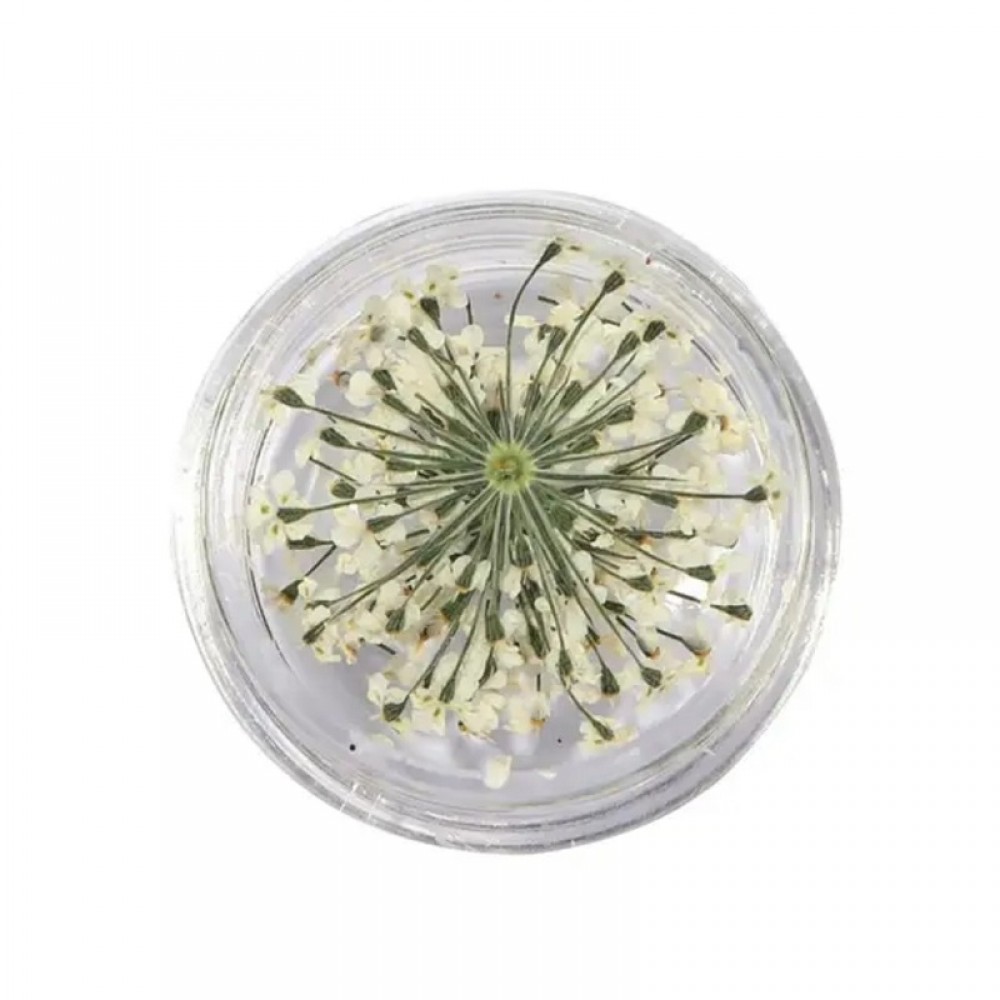 Естествени Сухи Цветя различни цветове