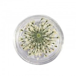 Естествени Сухи Цветя различни цветове-foto6