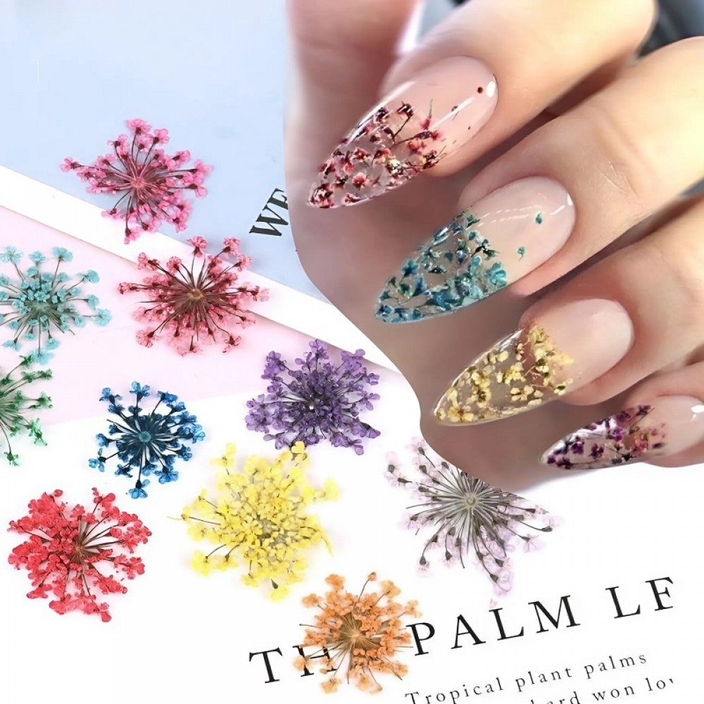 Естествени Сухи Цветя различни цветове