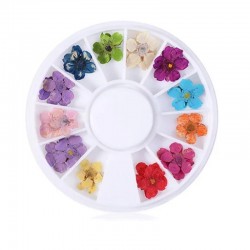 Палитра Естествени Сухи Цветя-foto2