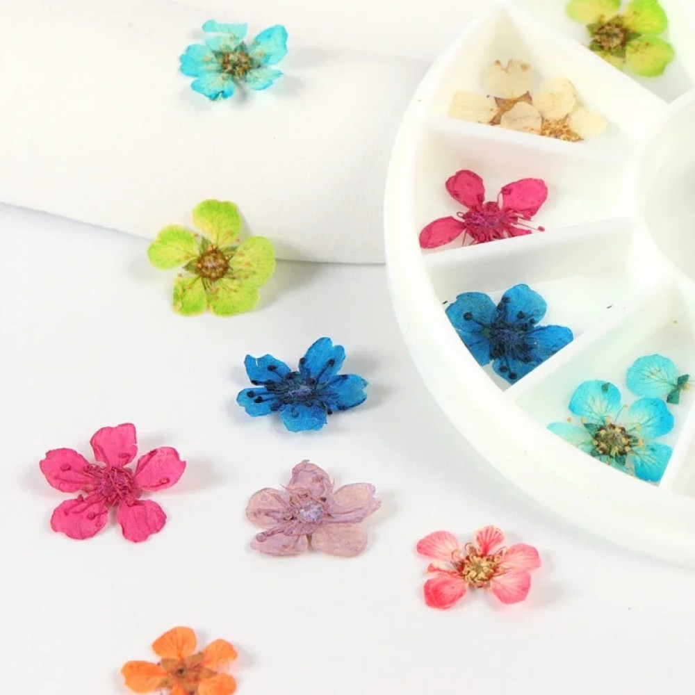 Палитра Естествени Сухи Цветя