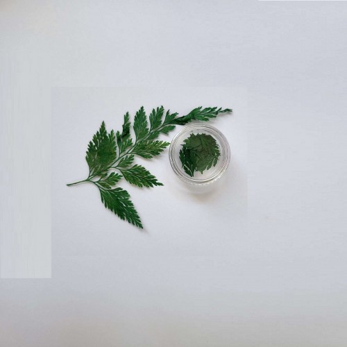 Декорация сухи цветя - Зелени