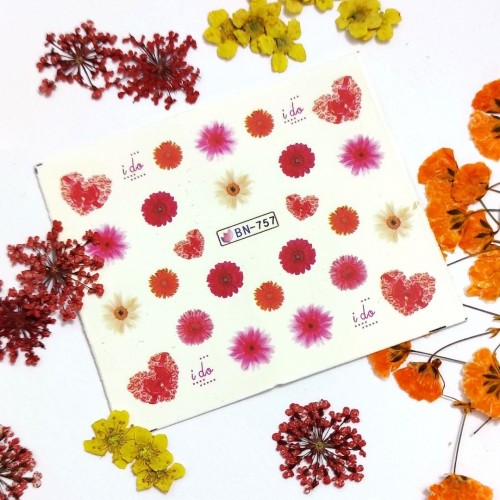 Ваденки BN-757 Хризантема