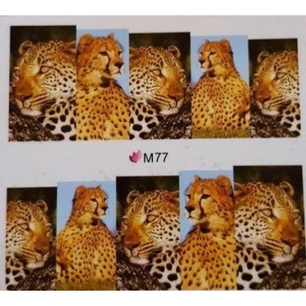 Ваденки за цял нокът M 77